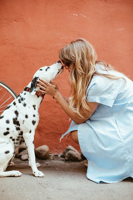 Les chiens aident-ils à éliminer la déprime chez l’homme ?